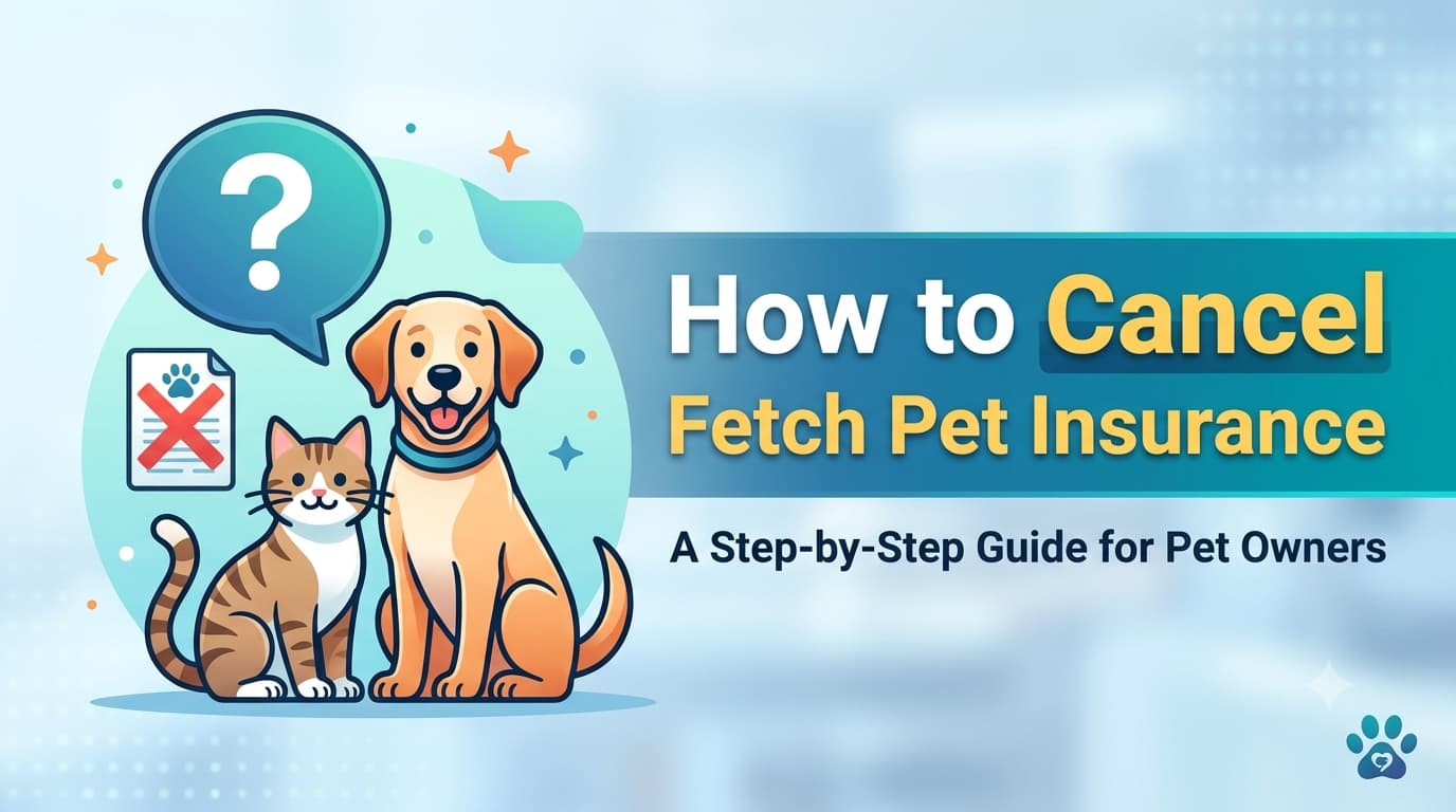 How to Cancel Fetch Pet Insurance